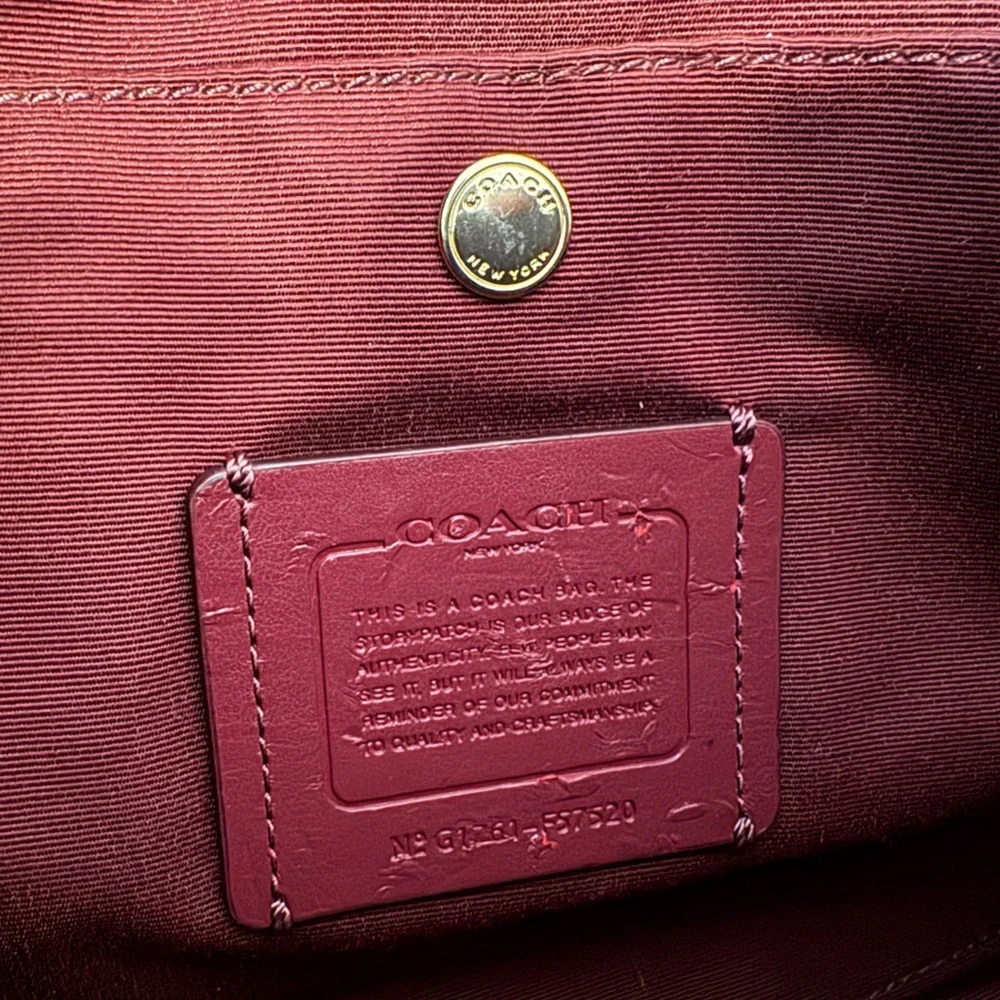 EUC- Coach Carry all bag